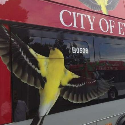 Epic Distribution | GF 209 MetroMark Matte White Opaque Removable Vinyl Adhesive by General Formulations