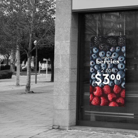 Epic Distribution | Blox-Lite Heavyweight Banner Media by Neenah